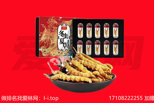 忻州市神池回收虫草.jpg
